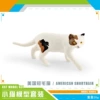 Американская короткошерстная (PL127-1813, 20 г)