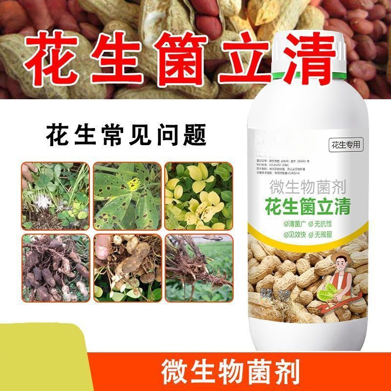 Peanut Microorganism-Based Microbial Agent for Preventing Root Rot, Leaf Spot, and Leaf Burn in Peanuts Peanut Microorganism-Based Microbial Agent for Preventing Root Rot, Leaf Spot, and Leaf Burn in Peanuts