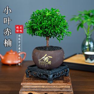 С�~�����������辰�Ϙ������՚�Gֲ�������Ԍ����r��ÿ�