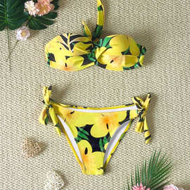 bikini2024欧美外贸时尚洋气比基尼泳衣沙滩海边度假性感泳装代发