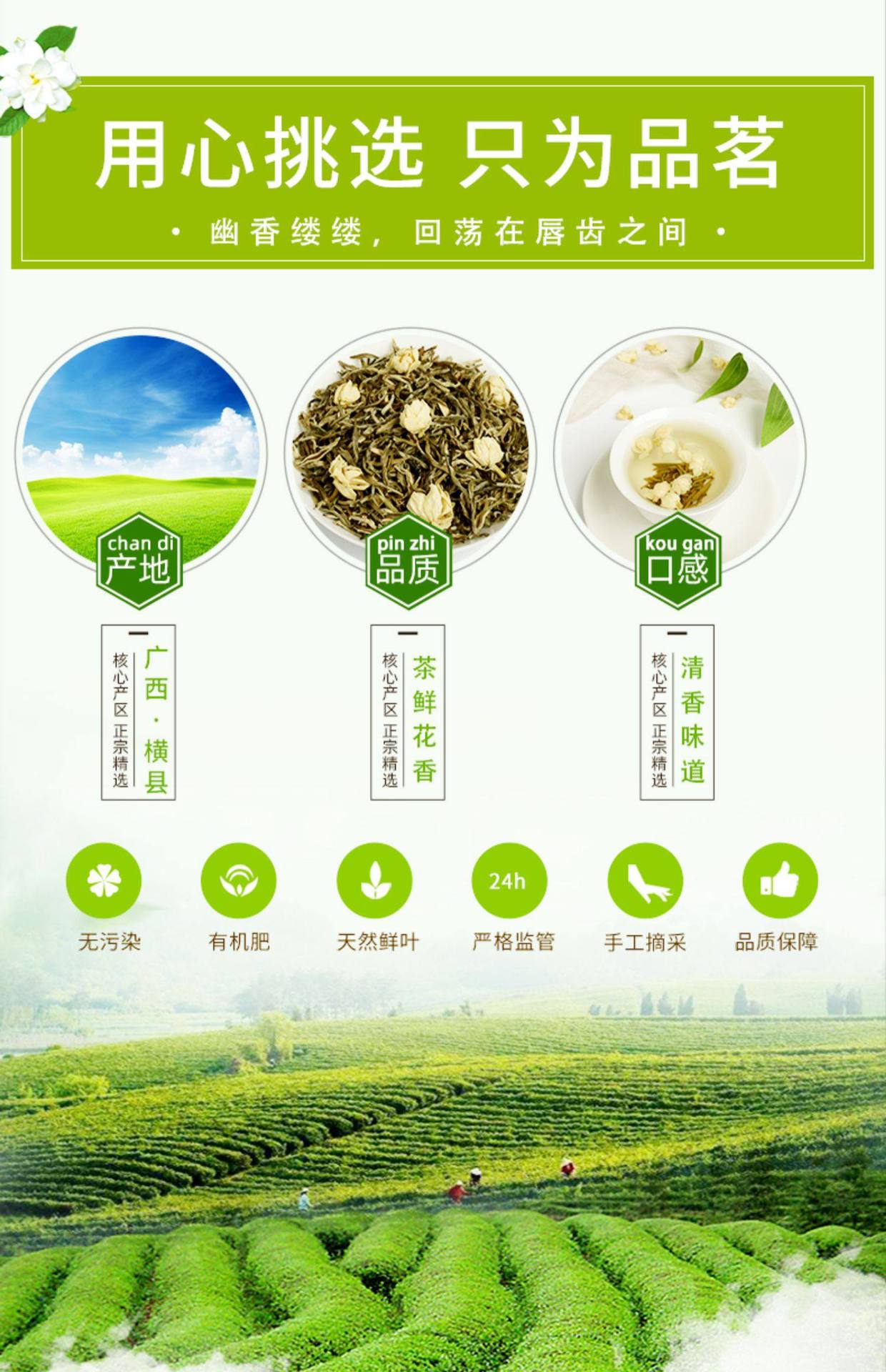 Jasmine Tea Mo Li Hua Cha Strong Fragrance Loose Green Tea with Jasmine Blossoms 750g Bag overview