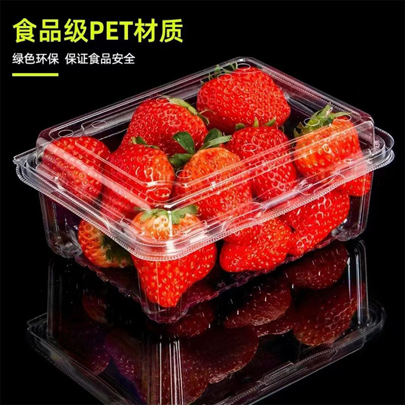 水果包装盒一次性果切盒透明带盖加厚吸塑盒果蔬草莓车厘子打包盒|undefined