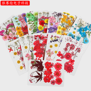 Hot DIY Mixed Dried Flower Embossed Leaves Real Flower Baffle Bag Crystal Drops Aromatherapy Gypsum DIY Accessories