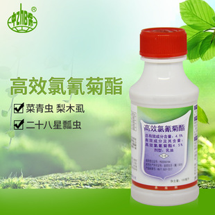 4.5%��Ч�����֬�����߲˲����x��ľʭư�x���x��100����