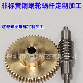 来图来样定制定做加工高精密非标黄铜蜗轮蜗杆套深圳专业齿轮工厂