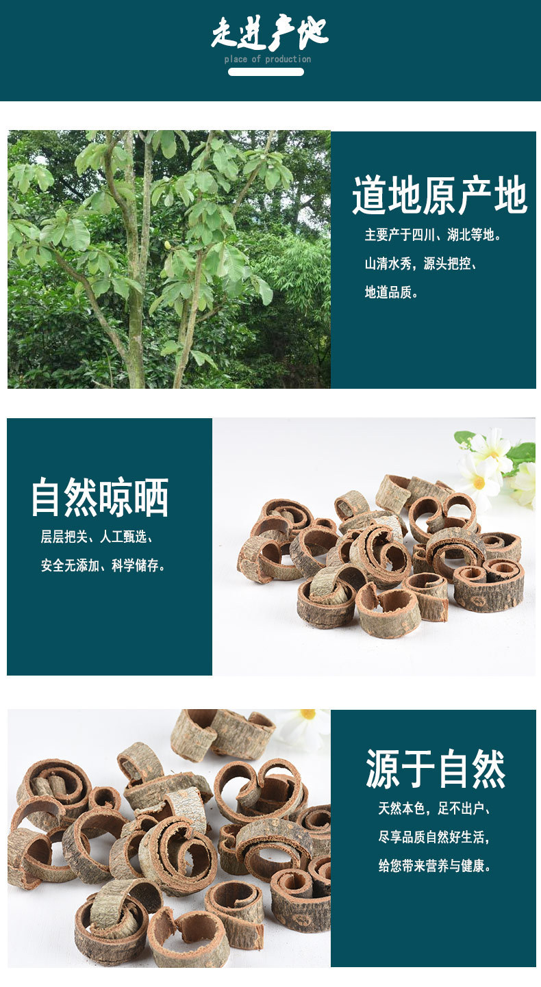 Magnolia Bark Hou Po 厚朴 Dried Herbal Slices 100g Bottle Traditional TCM Decoction Herb specifications