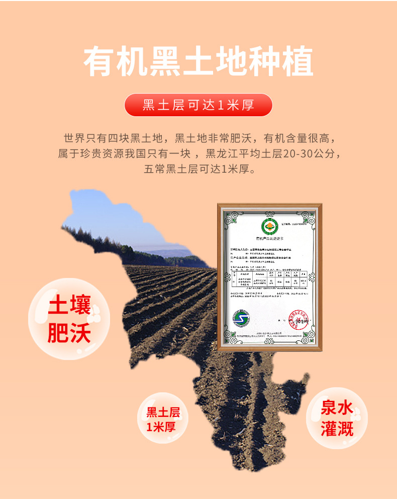 红袋子_03.jpg