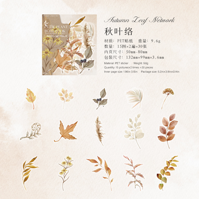 Sugar Poetry PET Etiqueta engomada de tinta blanca Paquete de libro de luz de planta Retro Estilo ins Planta diy Decoración engomada