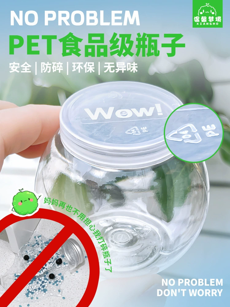 marimo海藻球城市岛屿微景观生态瓶办公室水培植物绿球藻营养液