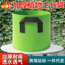跨境热卖美植袋种菜盆家用阳台种植盆园艺花盆加厚无纺布种植袋