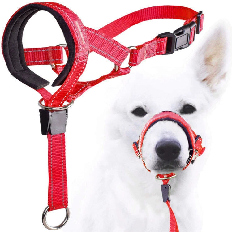 New pet dog mouth rope mouth, dog mouth anti -bite nasal trail dogs riot rinse drag dog traction dog products