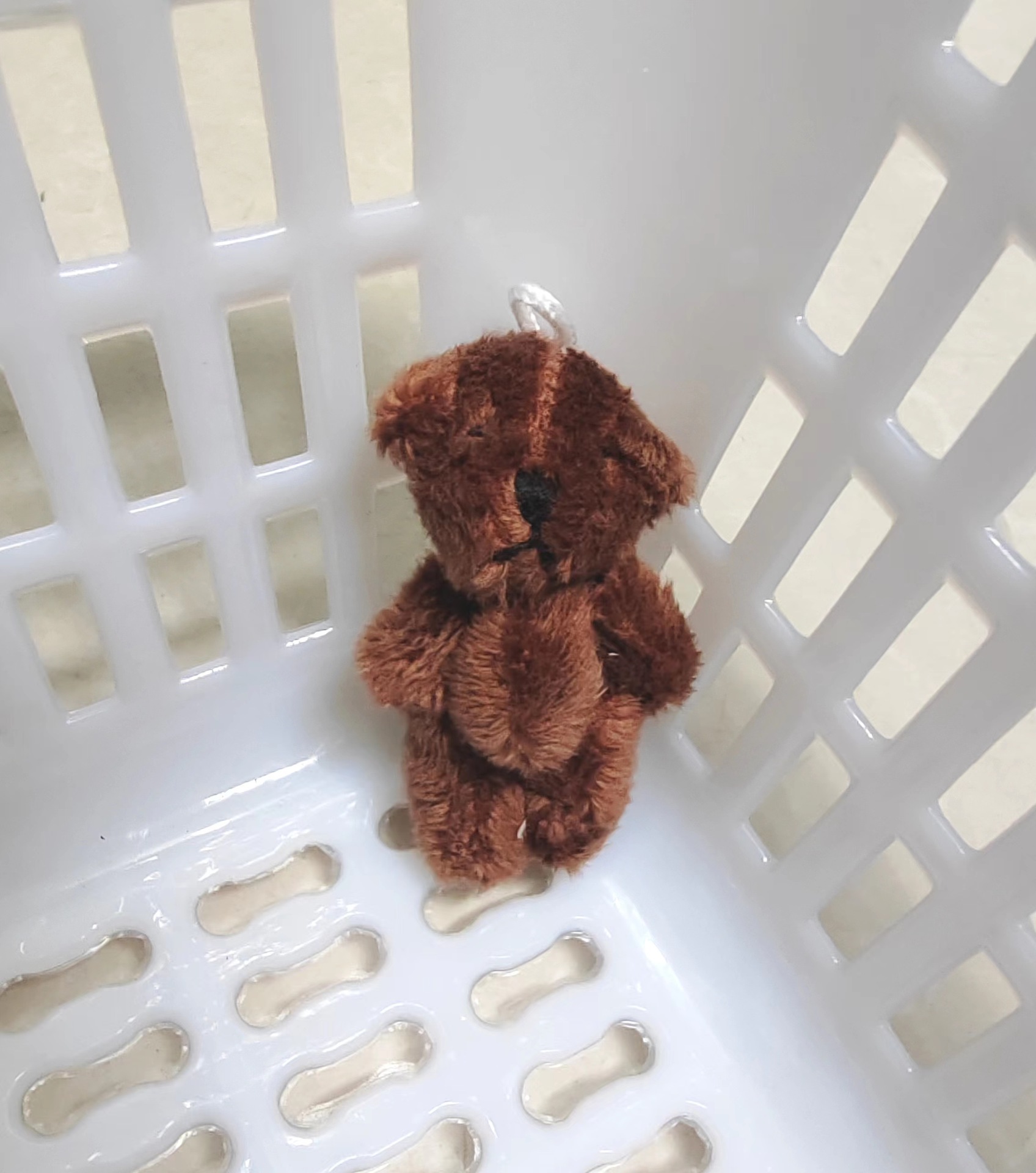 微信图片_20240306130042