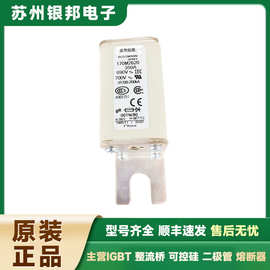 供应 170M3262 170M3263 170M3264 全新原装低压熔断器库存充足