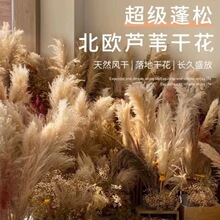 ��Ʒ�JȔ�ɻ������W�t�滨�͏d�[�O��Ȕ������Ȼ����҃�ins�[��