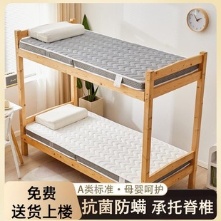 Environmentally Friendly Coconut Palm Dormitory Mattress Supports Students' High and Low Beds, Single School Dormitory Mattress, Foldable