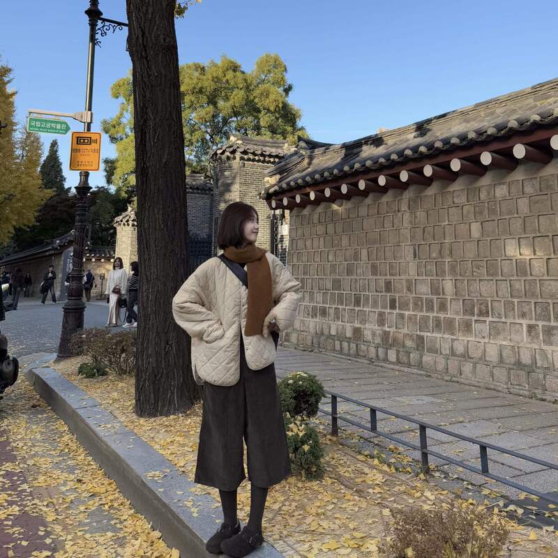 Japanese Retro Brown Corduroy High-Waisted Cropped Pants for Women, New Spring and Autumn Regular Niche Versatile Wide-Leg Pants