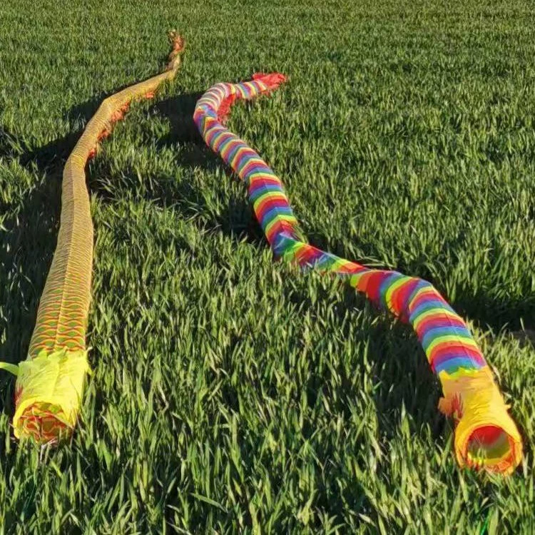 Люди среднего и пожилого возраста Фитнес Дракон Фитнес с высоким полюсом Дракон высотный танец дракона трубка Лента дракона Дракон диаболо Дракон длинный Дракон Радуга