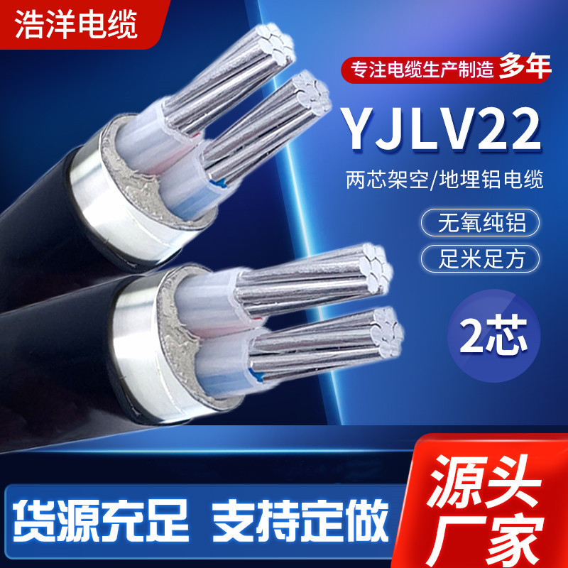 National standard cable manufacturer aluminum core cable yjlv overhead buried 2 core 10/16/25/35 square low voltage cable