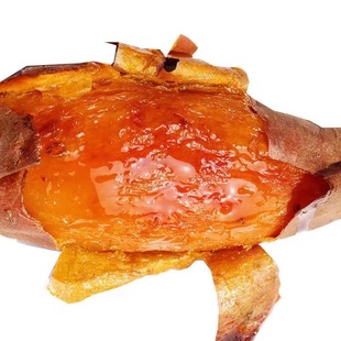 �L�ڹ���ɽ�|���������������lɳ�ط����������t�����عϟ�����