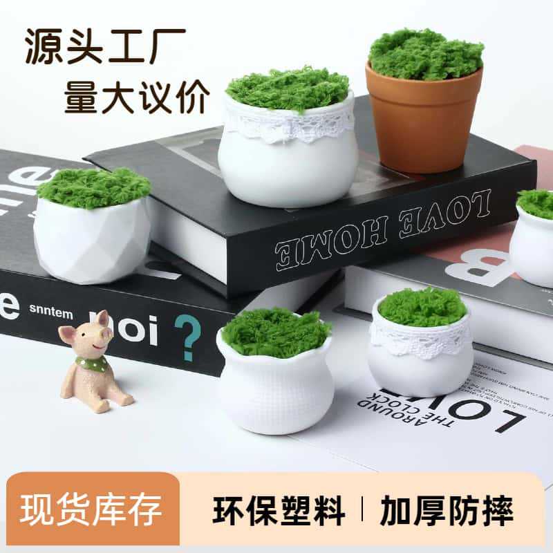 工厂盆景批发塑料花盆多肉植物陶瓷桌面绿萝绿植花卉盆栽套装M