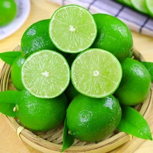 Свежие сезонные таитянские зеленые лимоны без косточек 0.5kg / 1.0kg / 1.5kg специальные лимоны для магазинов чая с молоком