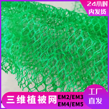 ���Sֲ���W�o�S�����Ӽӽ���N�����S�����W�|�������Sֲ���W