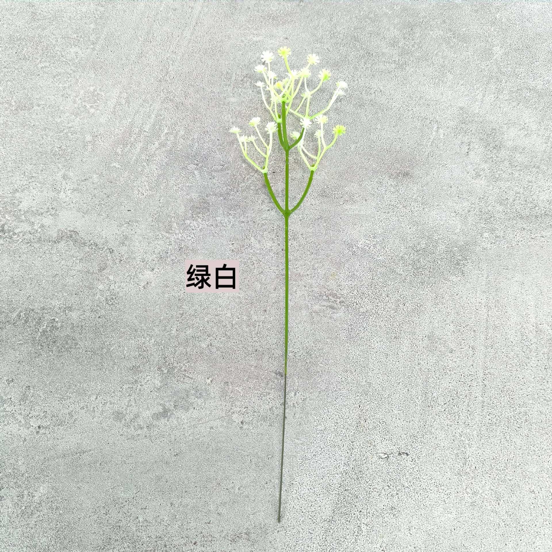 녹색과 흰색