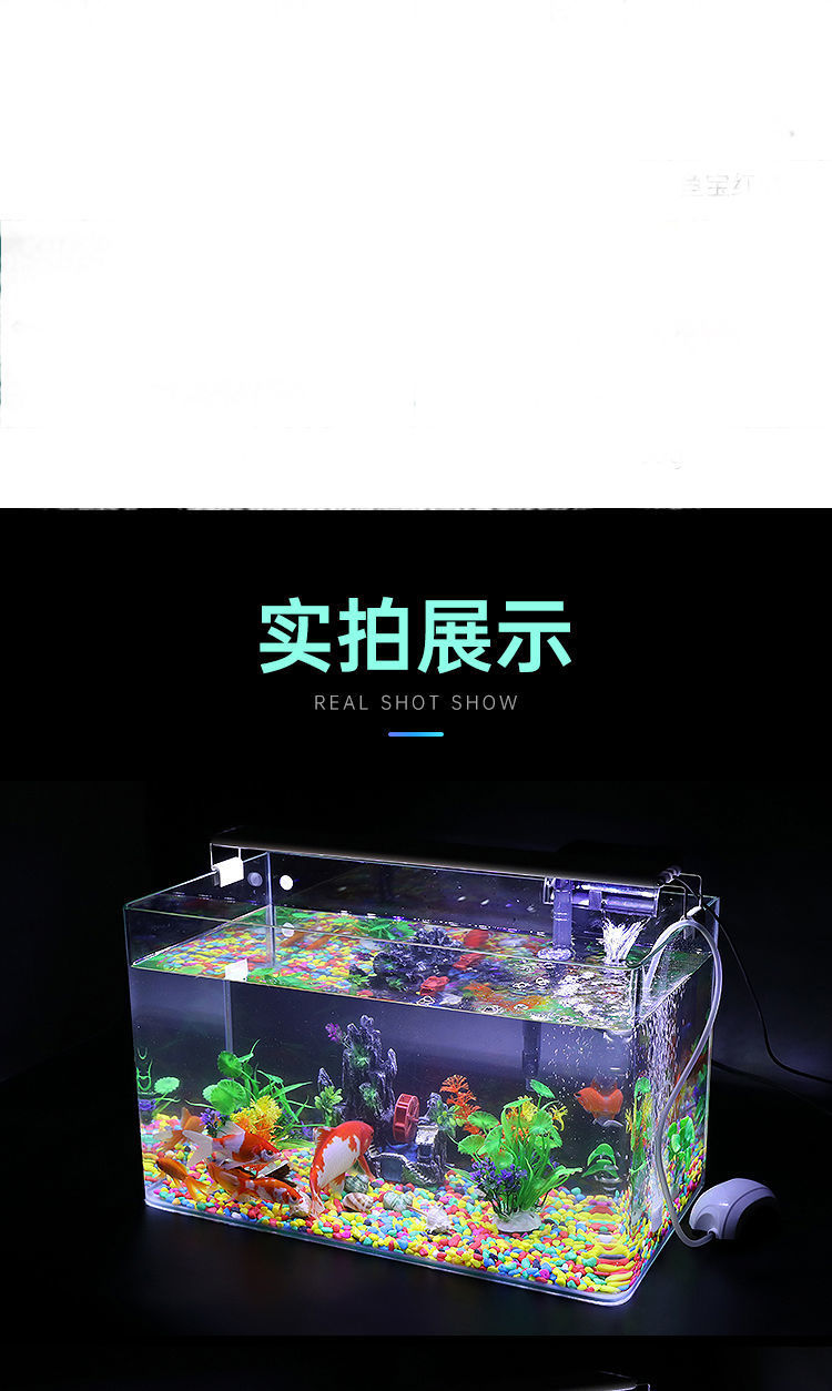 43e54637-39cf-475f-8c34-1baeb819871f.jpe