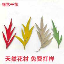 �ȼ����~�y���~ֲ��ɻ��˱����z�滨�֙C��Ѻ�� diy����Ϟ�T�ɻ�