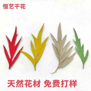 �ȼ����~�y���~ֲ��ɻ��˱����z�滨�֙C��Ѻ�� diy����Ϟ�T�ɻ�