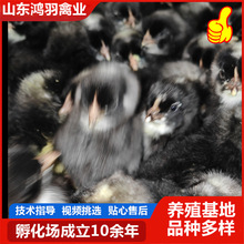 ���J���u��������l  �J���u������w  Ó���J���u����