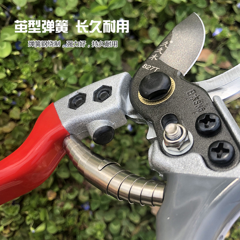 久久木11
