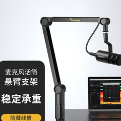 Maonoフラッシュba 91マイクアームブラケットコンデンサーマイク吊りデスクトップ歌録音防振アーム