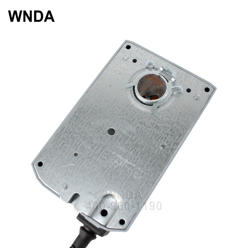 ʿBELIMOı綯緧ִSMD24Aſ綯ſ