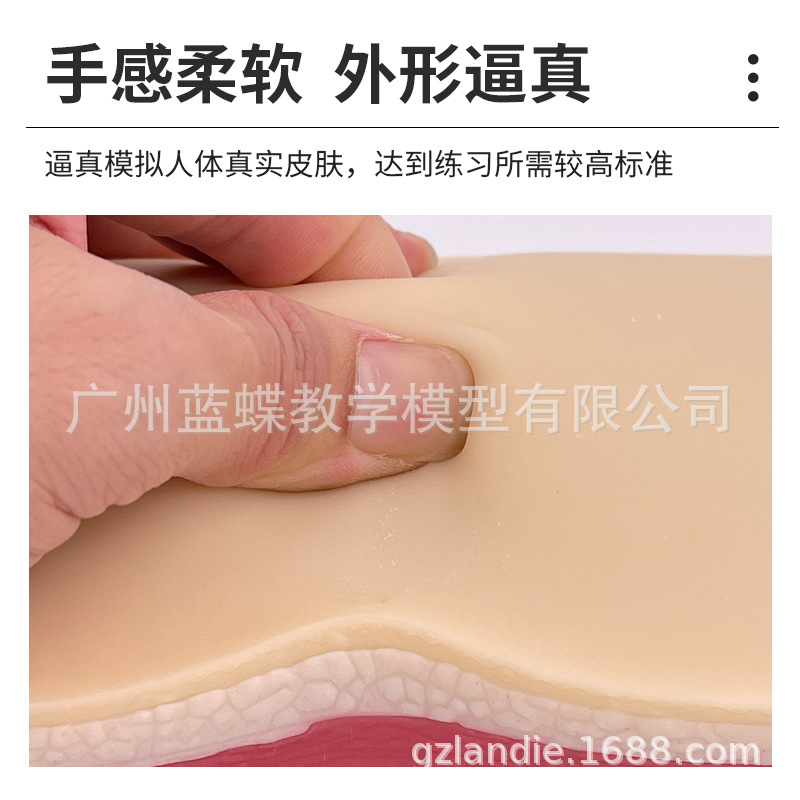 ����Ƥ�������ϰģ�� �轺Ƥ�� ע����ѵ��ҽѧ�����ϰ����