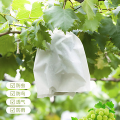 不織布果物袋ぶどう袋防鳥防虫防水専用糸果物袋育苗袋現物