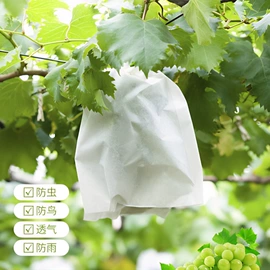 筋膜枪;手部按摩仪;清洁球/刷