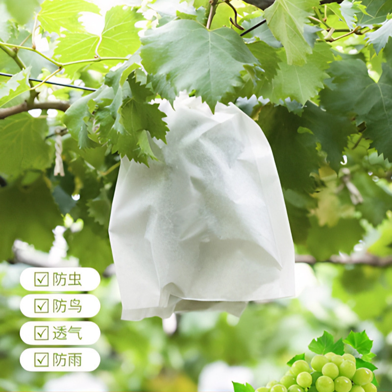 不織布果物袋ぶどう袋防鳥防虫防水専用糸果物袋育苗袋現物|undefined