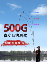 黑坑钓鱼竿超硬黑棍6H8h10h飞磕19调手杆用专台钓竿战斗之满