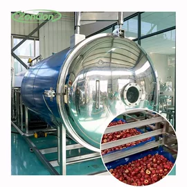 其他干燥设备;果蔬加工设备;休闲食品加工