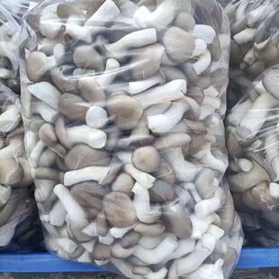 ����ֱ�lСƽ�����乽������ѿ��ᘹ��������U�����r�������M��