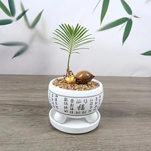 �F�䌚���K�F�ɐ�С�����k���҃���X����Gֲ�������Է�ݗ��