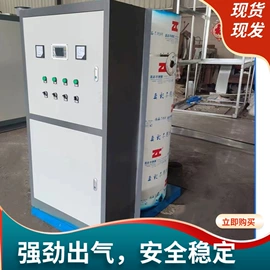 蒸汽发生器;燃煤锅炉;燃气锅炉