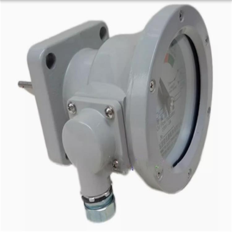 价格可谈 水流继电器 型号:SO777-BLZ4-80-30/20 库号：M291677