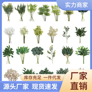 �b�Ʒ�M��DIY��֧��֦����ֲ�羳��������羳��֧��������Gֲ