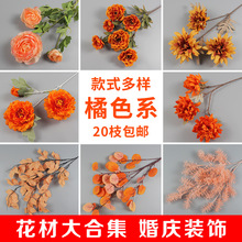 ��ɫ����c��ˇ��ɫ������Y���b���·��������ĵ������