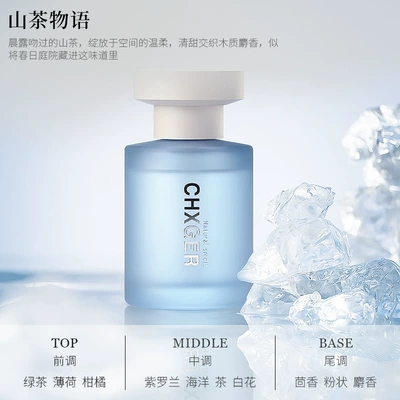 Ebony Agarwood Car Perfume, New: Car Perfume Aromatherapy - douyin-same-style-fangfei-camellia-story