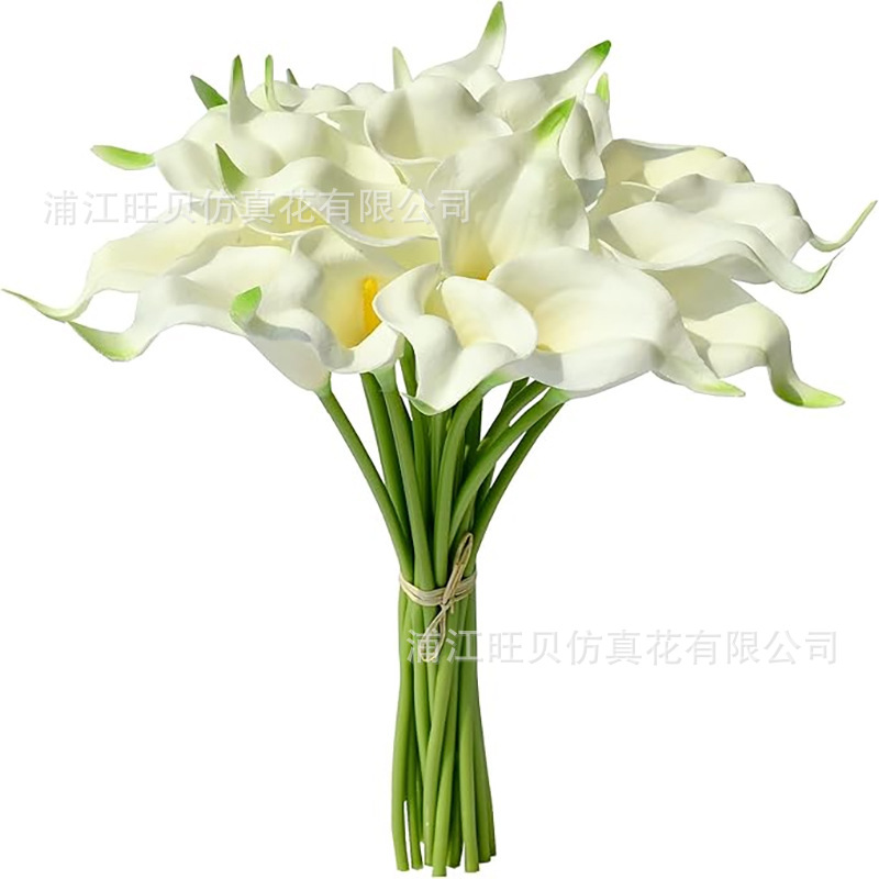 白色黄心（绿尾）