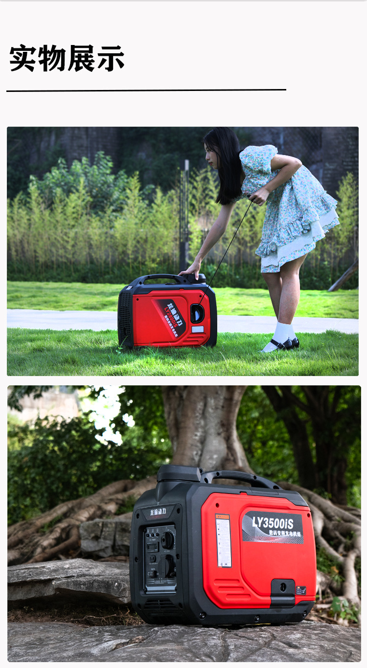 Longyu Mini Small Gasoline Generator 220V Low Noise Variable Frequency Outdoor RV Camping Portable All-Copper Motor