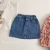 Blue A-line skirt